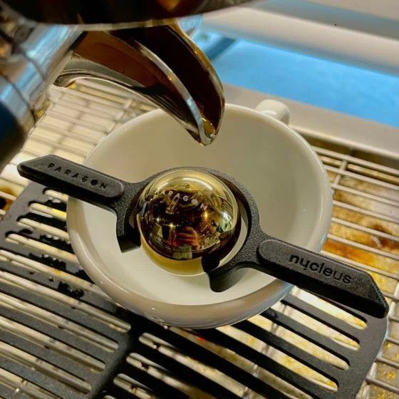 Комплект шариков для кофе Nucleus Paragon Espresso Chilling Rock, 6 шт PG-ESPROCK6 фото