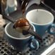 Комплект шариков для кофе Nucleus Paragon Espresso Chilling Rock, 6 шт PG-ESPROCK6 фото 3