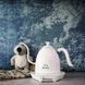Электрочайник для кофе Brewista Artisan White с поддержкой температуры, 600 мл BA10VKVDEW фото 2